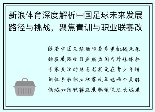 新浪体育深度解析中国足球未来发展路径与挑战，聚焦青训与职业联赛改革